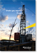 Tax and accounting issues for foreign investors and service companies