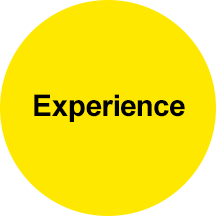 Experience